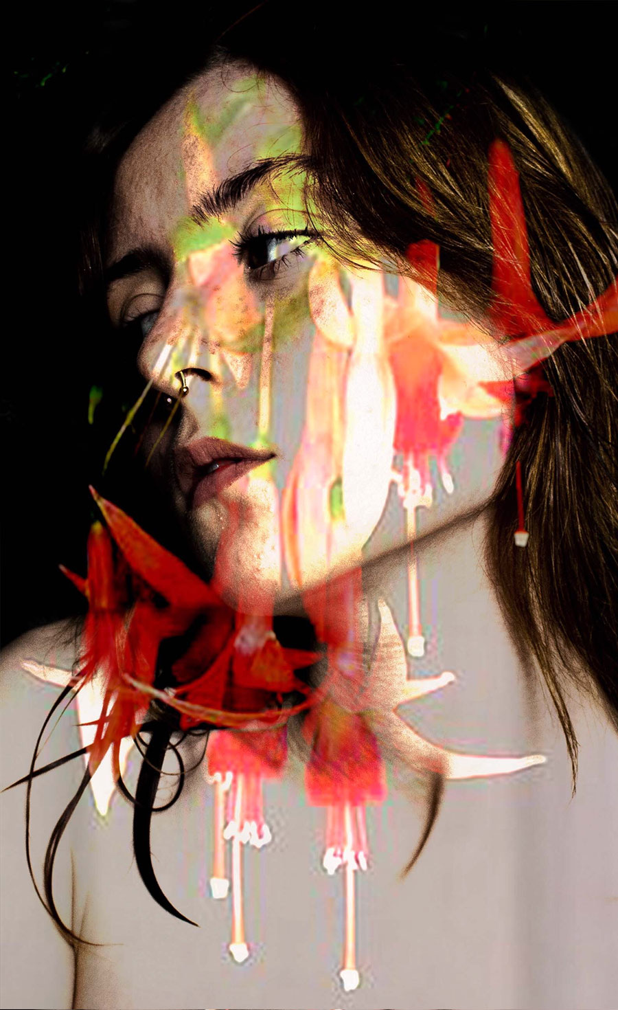 Isabelle Bloom - Personal Investigation Isabelle Bloom - Personal Investigation